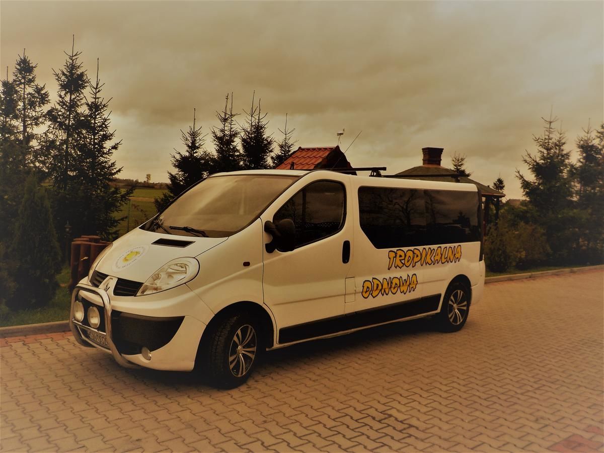 Отели типа «постель и завтрак» Tropikalna Odnowa Fałkowo-32